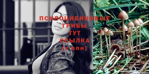 кокаин премиум Липки