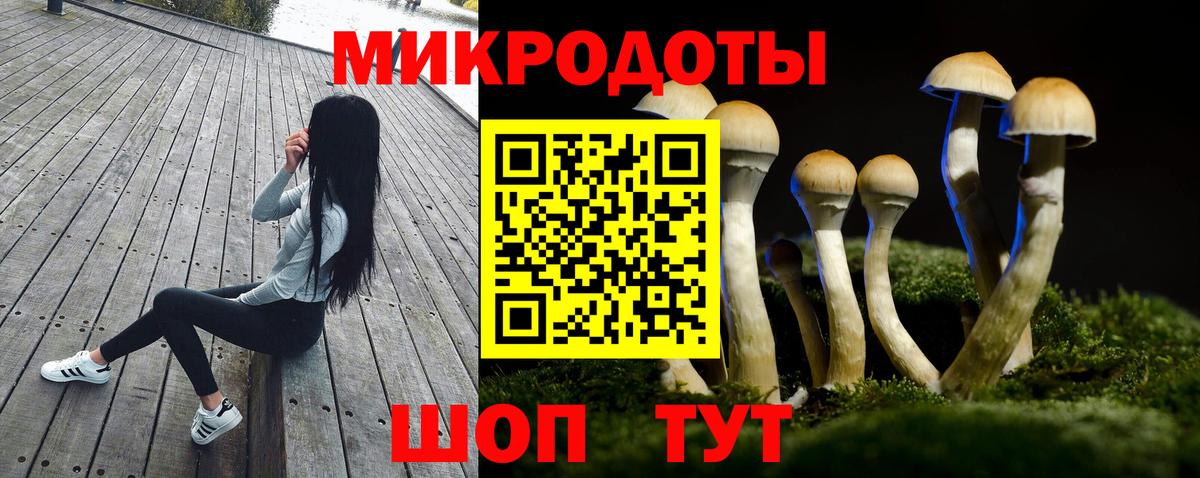 Псилоцибиновые грибы MAGIC MUSHROOMS Березники