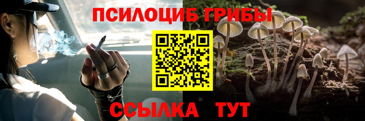 Псилоцибиновые грибы Cubensis  Вход с VPN  Березники  закладка  Псилоцибиновые грибы мицелий 